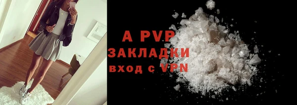 спиды Богородицк
