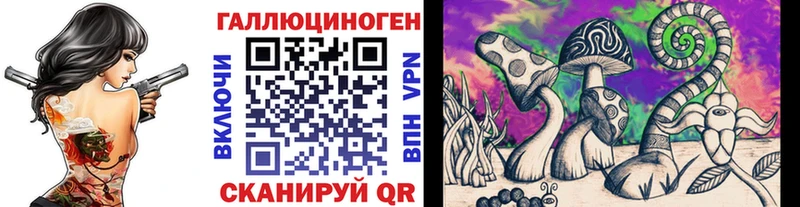 Купить  Гусь-Хрустальный  Галлюциногенные грибы Psilocybe 